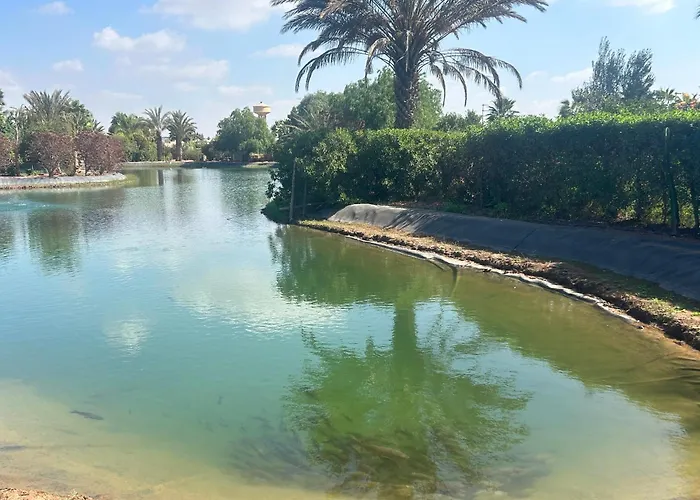Villa Louisa Piscine Privee Sans Vis A Vis Dyar Shemsi